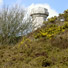 Hardy's Monument