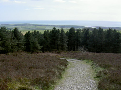 View from Hardy's Monument