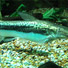 Sea Life Centre Weymouth