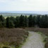 View from Hardy's Monument