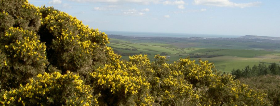 View from Hardy's Monument