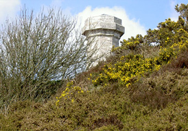 Hardy's Monument
