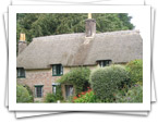 Thomas Hardy's Cottage