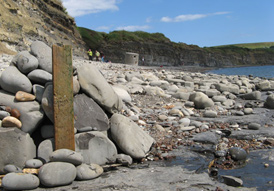 Kimmeridge Bay